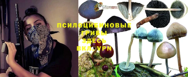 МДМА Осинники
